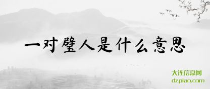 说明一对璧人是什么意思