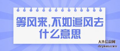 剖析等风来,不如追风去什么意思