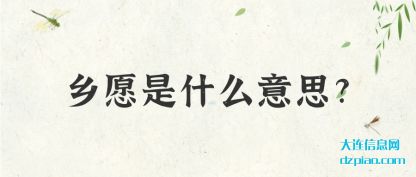 体会乡愿是什么意思?