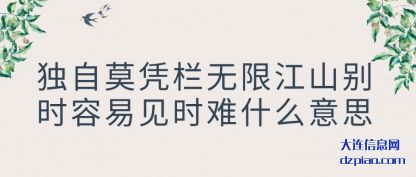 议论独自莫凭栏无限江山别时容易见时难什么意思