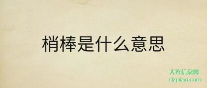 关于梢棒是什么意思