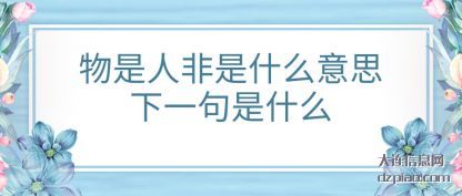 物是人非是什么意思下一句是什么