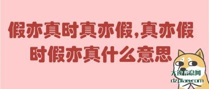假亦真时真亦假,真亦假时假亦真什么意思