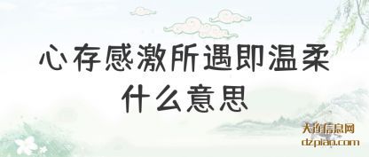概括心存感激所遇即温柔什么意思
