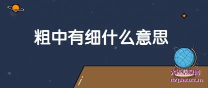 介绍粗中有细什么意思