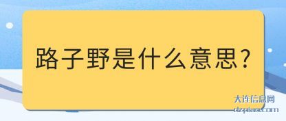 讲解路子野是什么意思?