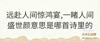 体会远赴人间惊鸿宴,一睹人间盛世颜意思是哪首诗里的