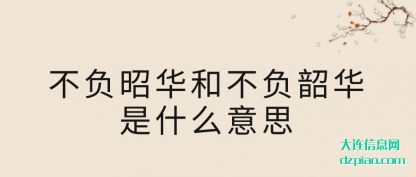 不负昭华和不负韶华是什么意思
