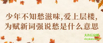 少年不知愁滋味,爱上层楼,为赋新词强说愁是什么意思