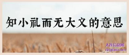 剖析知小礼而无大义的意思