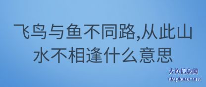 解答飞鸟与鱼不同路,从此山水不相逢什么意思