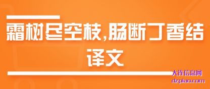 谈谈霜树尽空枝,肠断丁香结译文