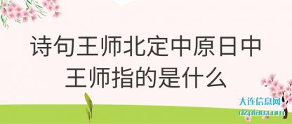 聊聊诗句王师北定中原日中王师指的是什么