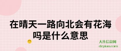 关于在晴天一路向北会有花海吗是什么意思