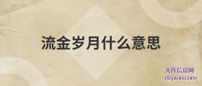 讨论流金岁月什么意思