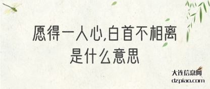 概述愿得一人心,白首不相离是什么意思