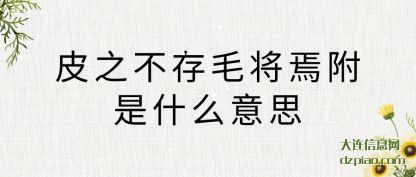理解皮之不存毛将焉附是什么意思