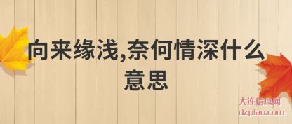 注解向来缘浅,奈何情深什么意思