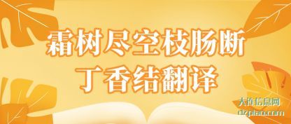 推荐霜树尽空枝肠断丁香结翻译