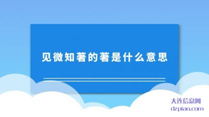 分析见微知著的著是什么意思