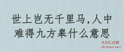解惑世上岂无千里马,人中难得九方皋什么意思