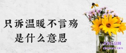 只诉温暖不言殇是什么意思
