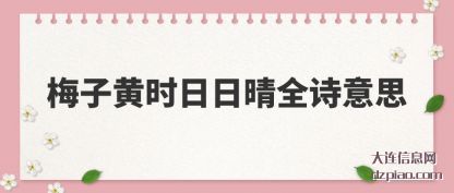 讲述梅子黄时日日晴全诗意思