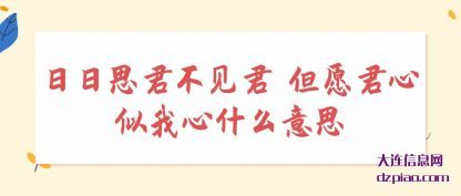日日思君不见君 但愿君心似我心什么意思