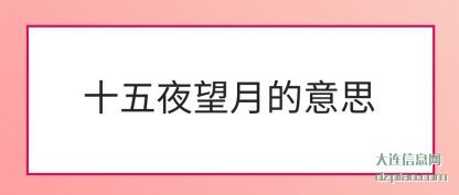 十五夜望月的意思