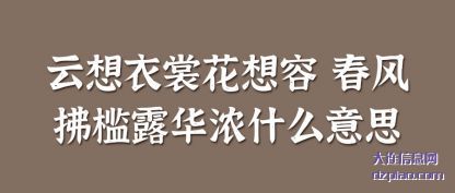 谈论云想衣裳花想容 春风拂槛露华浓什么意思
