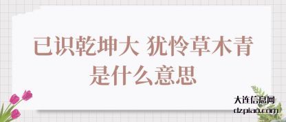 关于已识乾坤大 犹怜草木青是什么意思