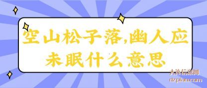 空山松子落,幽人应未眠什么意思