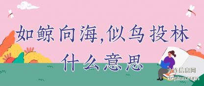 如鲸向海,似鸟投林什么意思