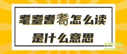 理会耄耋耆耈怎么读是什么意思