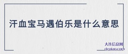 体会汗血宝马遇伯乐是什么意思