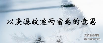 总结以爱瀑故遂两宿焉的意思