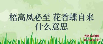 推荐梧高凤必至 花香蝶自来什么意思