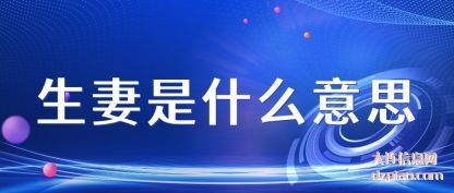 解惑生妻是什么意思