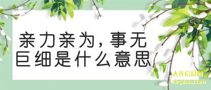 亲力亲为,事无巨细是什么意思