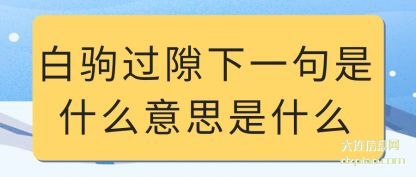 解说白驹过隙下一句是什么意思是什么