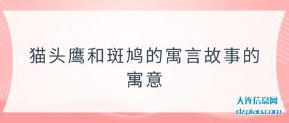 诠释猫头鹰和斑鸠的寓言故事的寓意