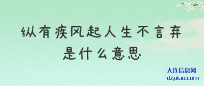 解析纵有疾风起人生不言弃是什么意思