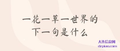 聊聊一花一草一世界的下一句是什么