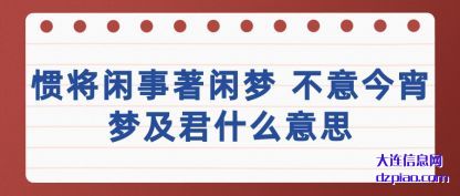 总结惯将闲事著闲梦 不意今宵梦及君什么意思