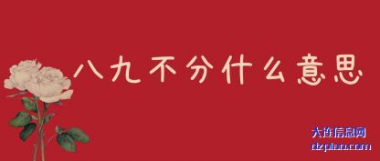 介绍八九不分什么意思