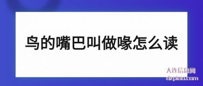 概括鸟的嘴巴叫做喙怎么读