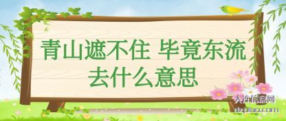 分析青山遮不住 毕竟东流去什么意思