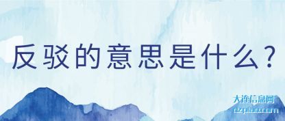 反驳的意思是什么?