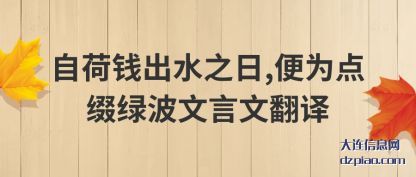 概括自荷钱出水之日,便为点缀绿波文言文翻译