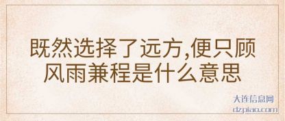 说明既然选择了远方,便只顾风雨兼程是什么意思